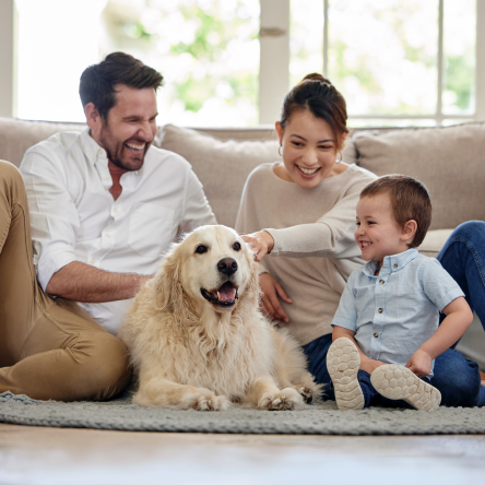 Mother, father and their child spending quality time with their dog.