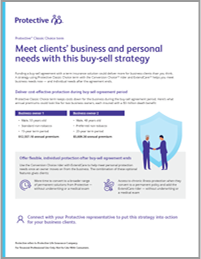 Cover of the Protective small business owner case study.